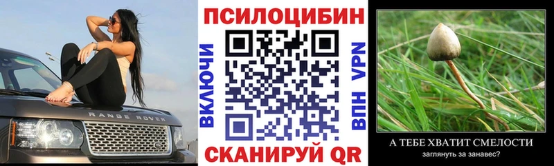 хочу наркоту  Приморско-Ахтарск  Псилоцибиновые грибы GOLDEN TEACHER 